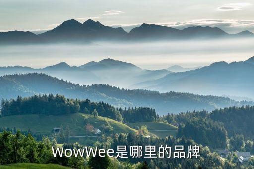 WowWee是哪里的品牌