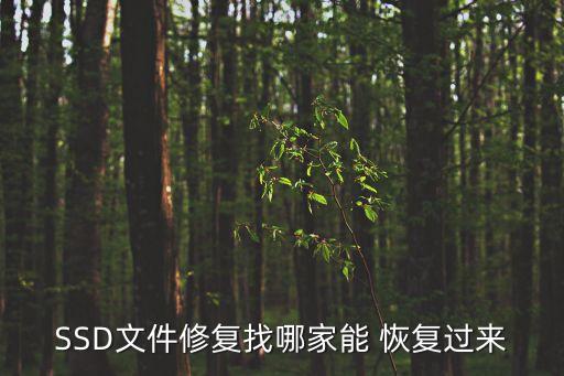 SSD文件修復(fù)找哪家能 恢復(fù)過(guò)來(lái)