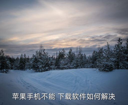 app用蜂窩數(shù)據(jù)下載app下載app下載不了