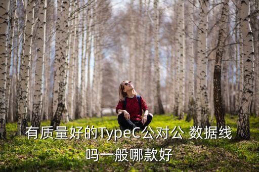 有質(zhì)量好的TypeC公對公 數(shù)據(jù)線嗎一般哪款好