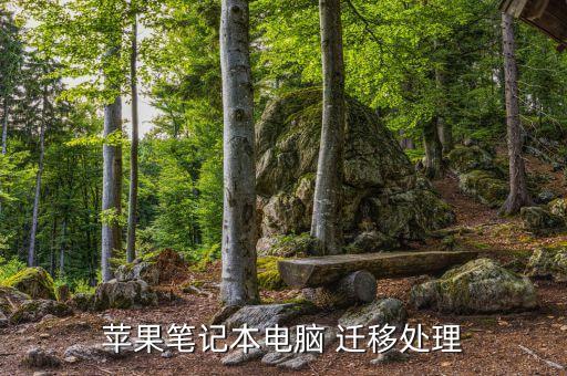 蘋果筆記本電腦 遷移處理