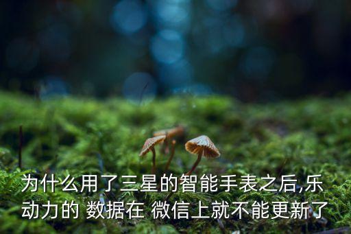 樂動力微信不顯示數(shù)據(jù)