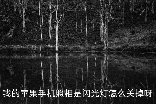 我的蘋果手機照相是閃光燈怎么關掉呀