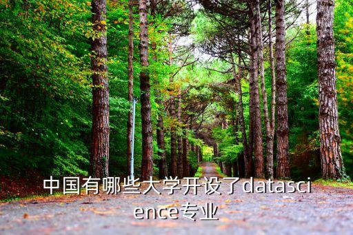 中國有哪些大學開設了datascience專業(yè)