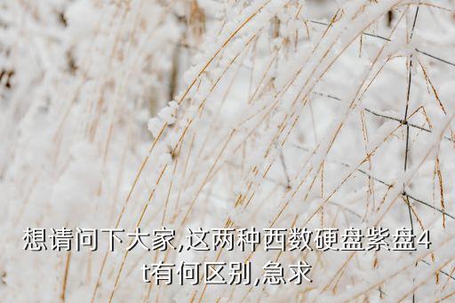 西部數(shù)據(jù)黑盤(pán)和紅盤(pán)