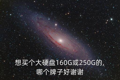 想買個(gè)大硬盤160G或250G的,哪個(gè)牌子好謝謝