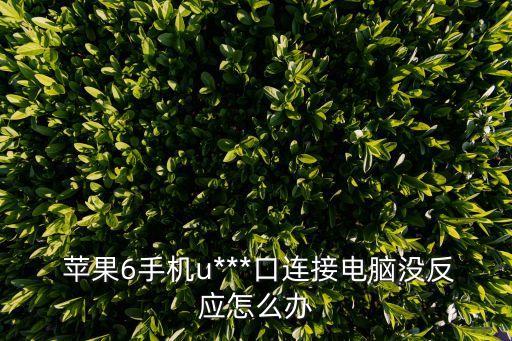  蘋果6手機(jī)u***口連接電腦沒反應(yīng)怎么辦