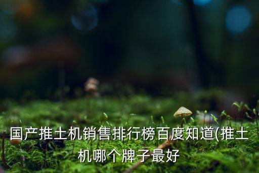 國產(chǎn)推土機(jī)銷售排行榜百度知道(推土機(jī)哪個(gè)牌子最好