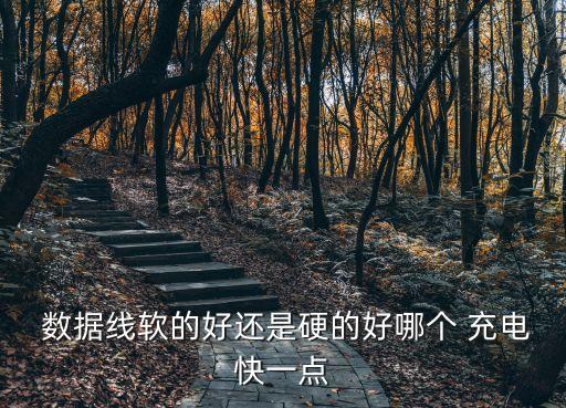 那種數據線充電快,為什么原裝數據線充電快