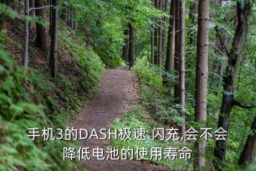 手機3的DASH極速 閃充,會不會降低電池的使用壽命