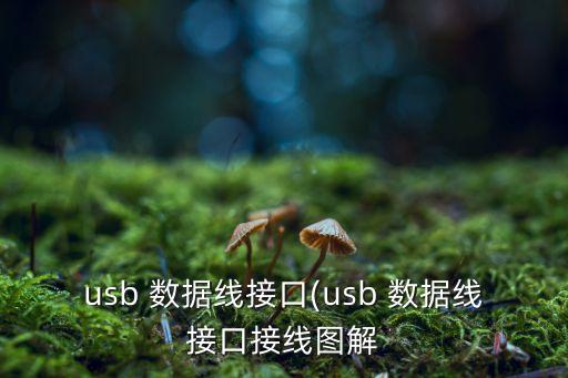 usb 數(shù)據(jù)線接口(usb 數(shù)據(jù)線接口接線圖解