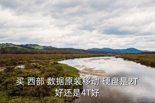 西部數(shù)據(jù)2t 硬盤