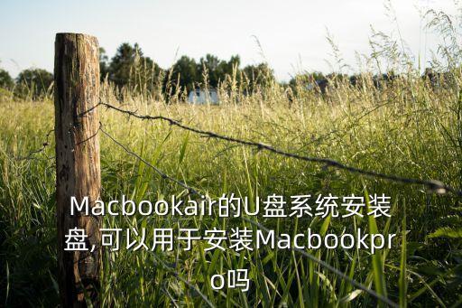 Macbookair的U盤系統(tǒng)安裝盤,可以用于安裝Macbookpro嗎