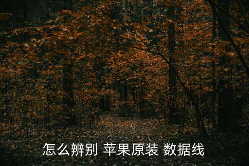 蘋果數(shù)據(jù)線紅色是什么顏色的,蘋果原裝數(shù)據(jù)線金手指是什么顏色
