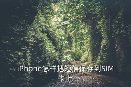 蘋果sim卡儲存數(shù)據(jù)嗎,蘋果手機(jī)先換sim卡還是先傳數(shù)據(jù)