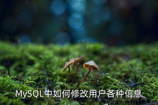 mysql 數(shù)據(jù)脫敏,數(shù)據(jù)脫敏龍頭股
