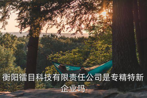 機器人應用先進技術(shù)研究院,上海機器人產(chǎn)業(yè)技術(shù)研究院怎么樣
