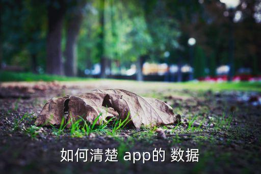 app 刪除數(shù)據(jù),App刪除數(shù)據(jù)網(wǎng)警能查得到嗎