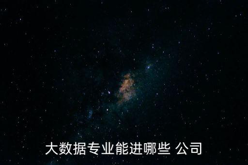 大數(shù)據(jù)專業(yè)能進(jìn)哪些 公司