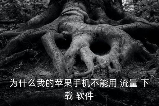 為什么我的蘋果手機(jī)不能用 流量 下載 軟件