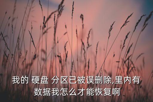 我的 硬盤 分區(qū)已被誤刪除,里內(nèi)有 數(shù)據(jù)我怎么才能恢復(fù)啊