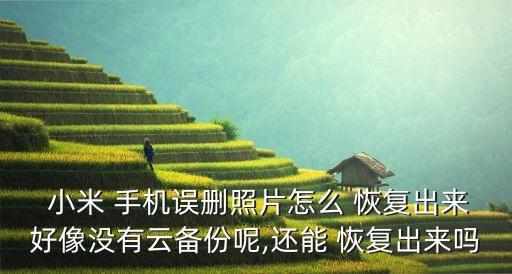  小米 手機誤刪照片怎么 恢復出來好像沒有云備份呢,還能 恢復出來嗎