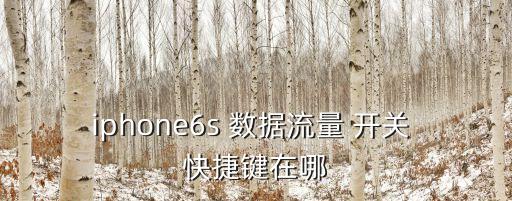 iphone6s 數(shù)據(jù)流量 開(kāi)關(guān) 快捷鍵在哪