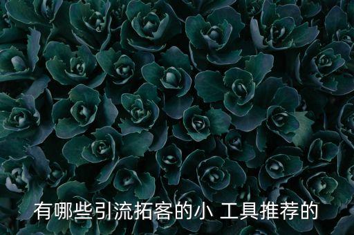 有哪些引流拓客的小 工具推薦的