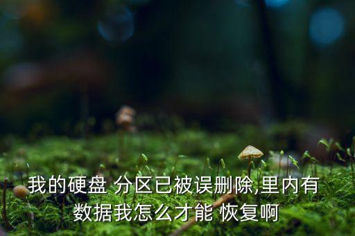 我的硬盤(pán) 分區(qū)已被誤刪除,里內(nèi)有 數(shù)據(jù)我怎么才能 恢復(fù)啊