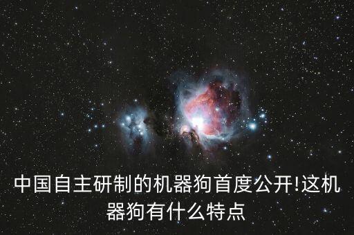 中國自主研制的機(jī)器狗首度公開!這機(jī)器狗有什么特點(diǎn)