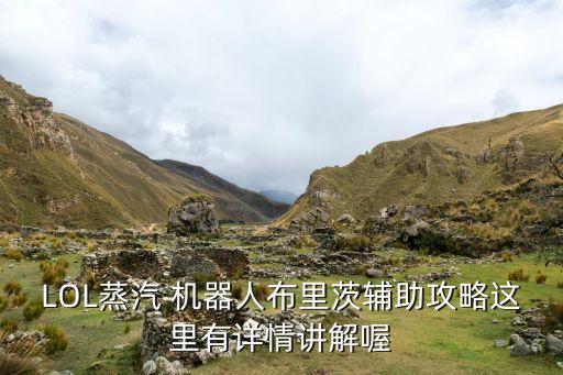 LOL蒸汽 機(jī)器人布里茨輔助攻略這里有詳情講解喔