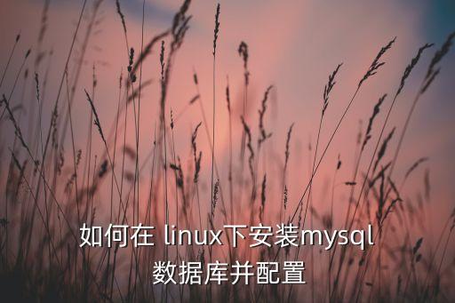 如何在 linux下安裝mysql 數(shù)據(jù)庫并配置