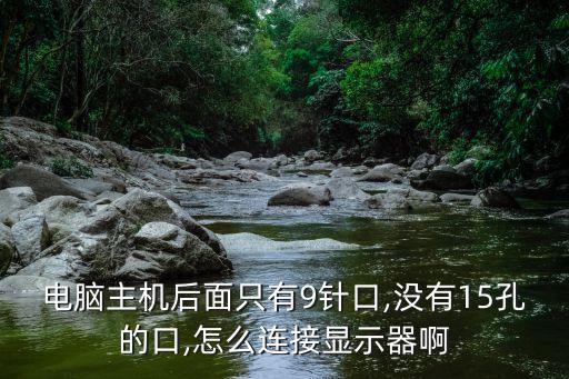 電腦主機后面只有9針口,沒有15孔的口,怎么連接顯示器啊