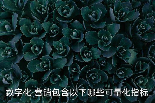 數(shù)字化 營銷包含以下哪些可量化指標(biāo)