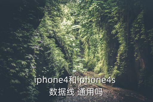 蘋果數(shù)據(jù)線可以通用嗎,蘋果鼠標(biāo)數(shù)據(jù)線和手機(jī) 通用嗎