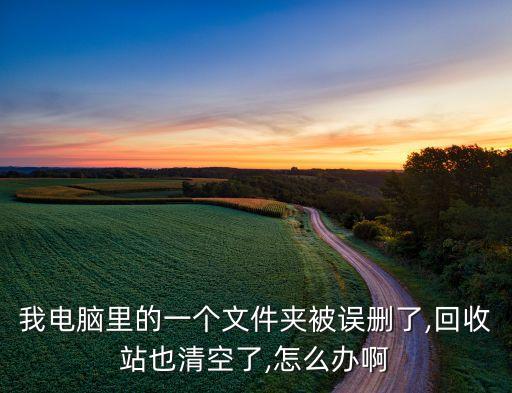 我電腦里的一個(gè)文件夾被誤刪了,回收站也清空了,怎么辦啊