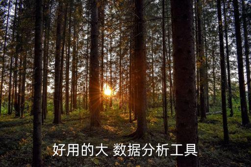 好用的大 數(shù)據(jù)分析工具