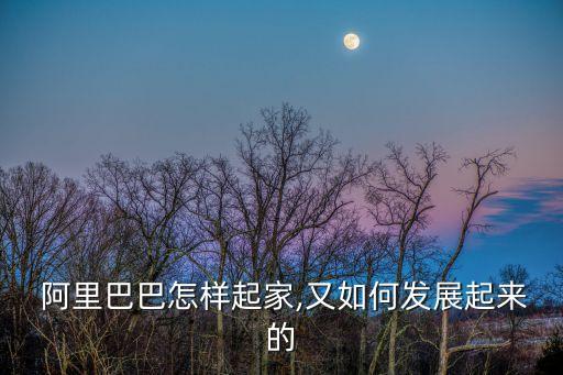  阿里巴巴怎樣起家,又如何發(fā)展起來的