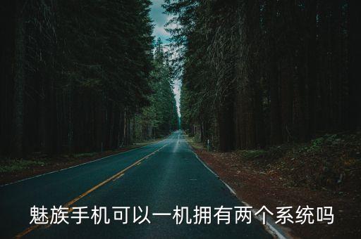 魅族手機可以一機擁有兩個系統(tǒng)嗎