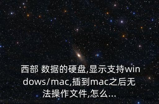 西部數(shù)據(jù) 蘋果電腦
