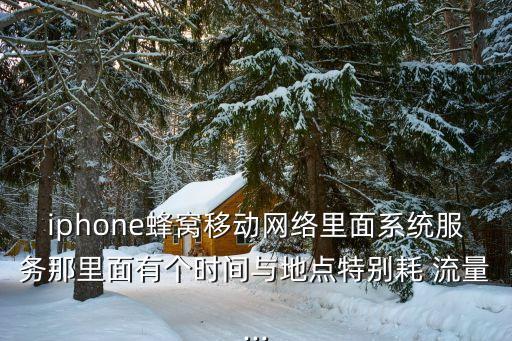 iphone蜂窩移動網(wǎng)絡里面系統(tǒng)服務那里面有個時間與地點特別耗 流量...