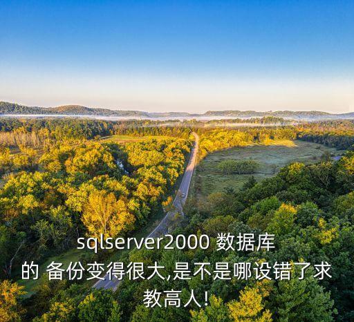 sqlserver2000 數(shù)據(jù)庫的 備份變得很大,是不是哪設(shè)錯了求教高人!
