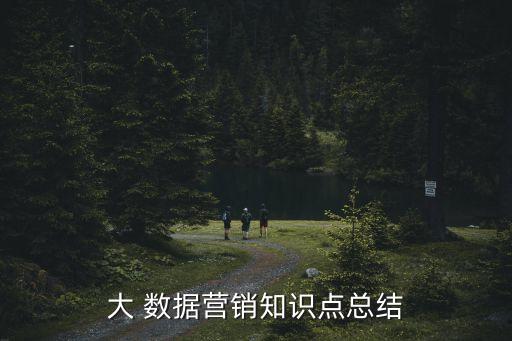 大 數(shù)據(jù)營銷知識點總結(jié)