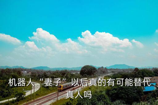  機器人“妻子”以后真的有可能替代真人嗎