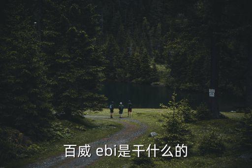 ebi機(jī)器人團(tuán)隊(duì)
