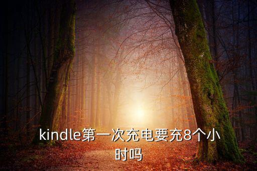 kindle 數(shù)據(jù)線