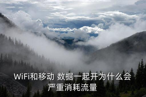 WiFi和移動(dòng) 數(shù)據(jù)一起開(kāi)為什么會(huì)嚴(yán)重消耗流量