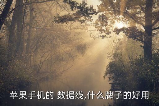 蘋果手機的 數(shù)據(jù)線,什么牌子的好用