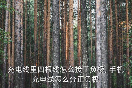 充電線里四根線怎么接正負極, 手機充電線怎么分正負極