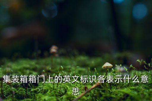 集裝箱箱門上的英文標識各表示什么意思
